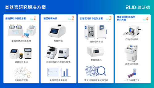 EBET易博邀您共赴2024第四届类器官大会—类器官与新药研发会议暨 ISoOR 2024 国际类器官高峰论坛