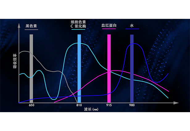 4种波长