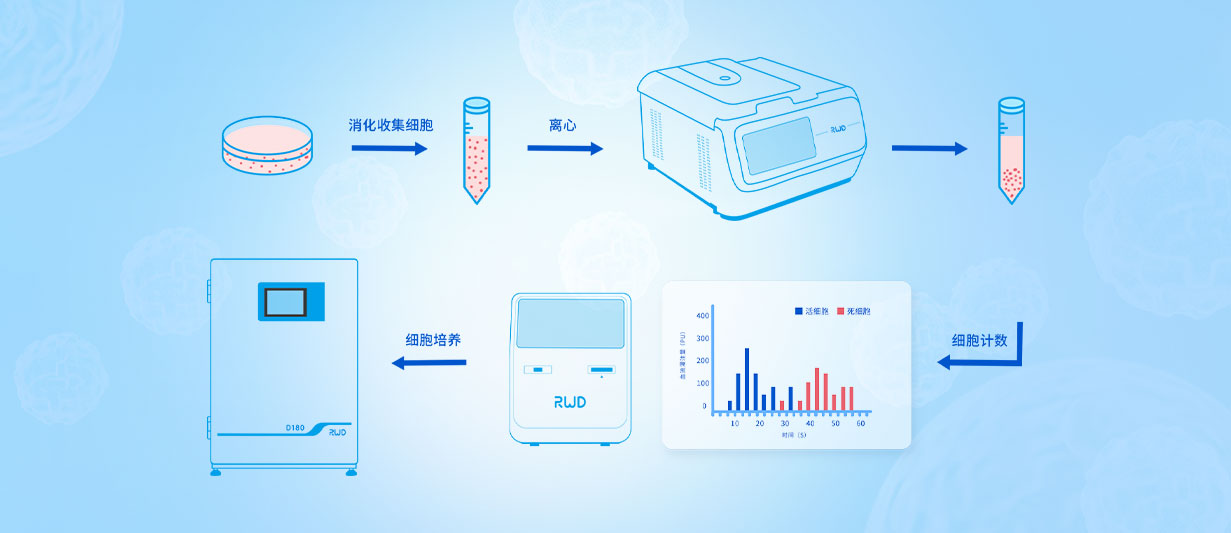 细胞培养应用