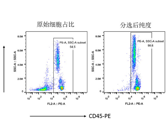 人CD45+细胞分选试剂盒（科研级）