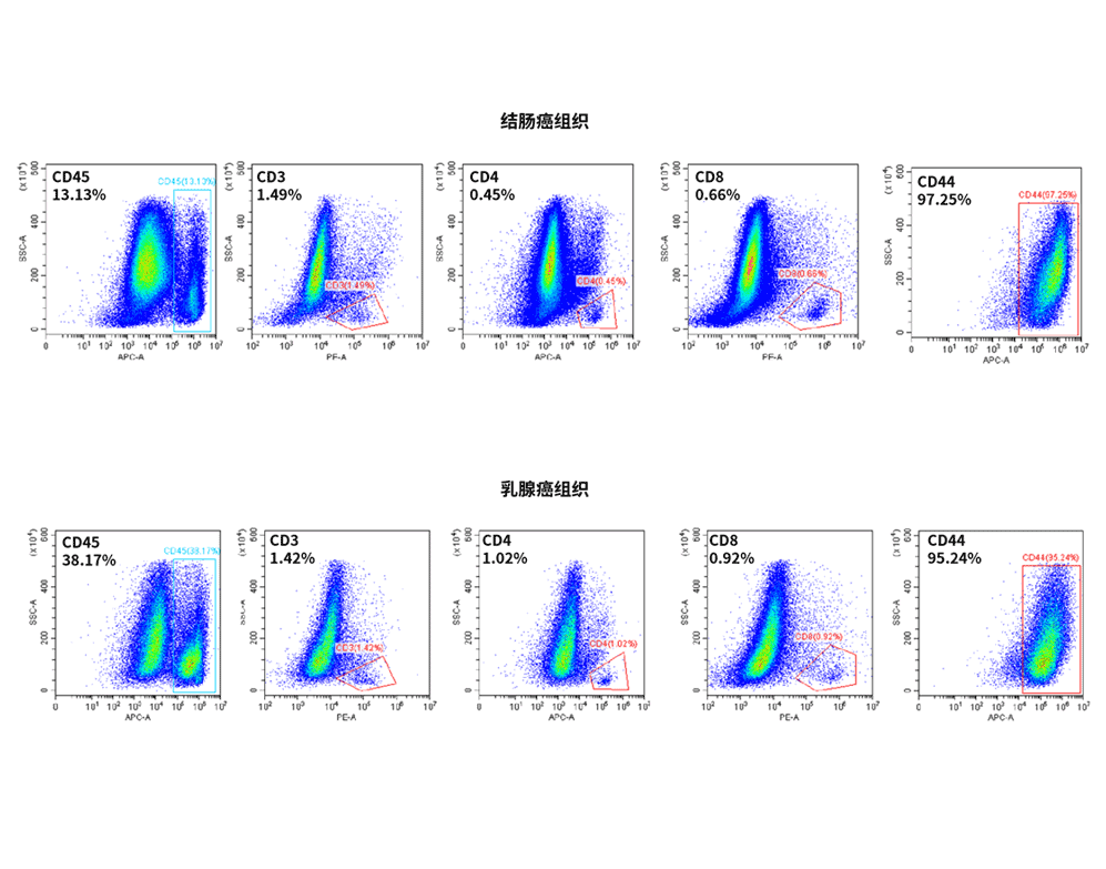 肿瘤组织细胞流式分析结果